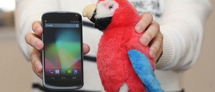 LG Nexus - Man Holding LG Nexus With Parrot Beside It - Droid Views