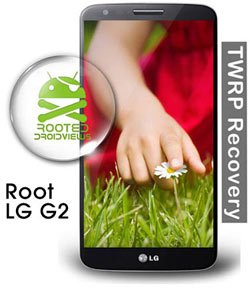 root lg g2
