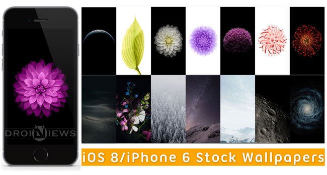 Download iOS 8/ iPhone 6 Stock Wallpapers (High Quality)