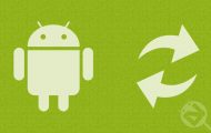 Google Android update syndrome