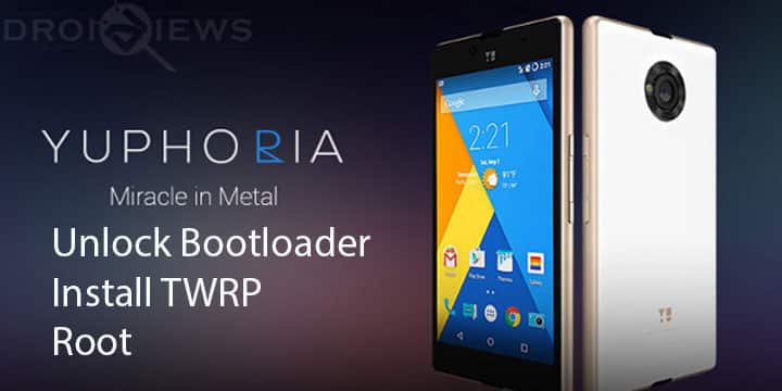 Root Yu Yuphoria