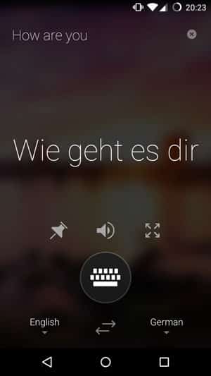 translator5