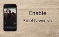 enable partial screenshot