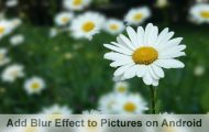 Add Blur Effect in Pictures on Android