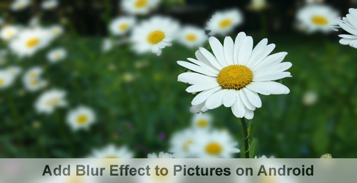 Add Blur Effect in Pictures on Android