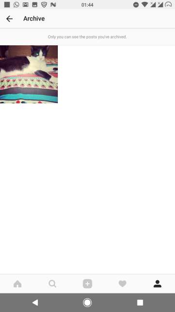 Archive your posts in Instagram