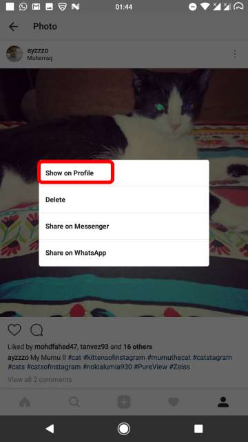 Archive your posts