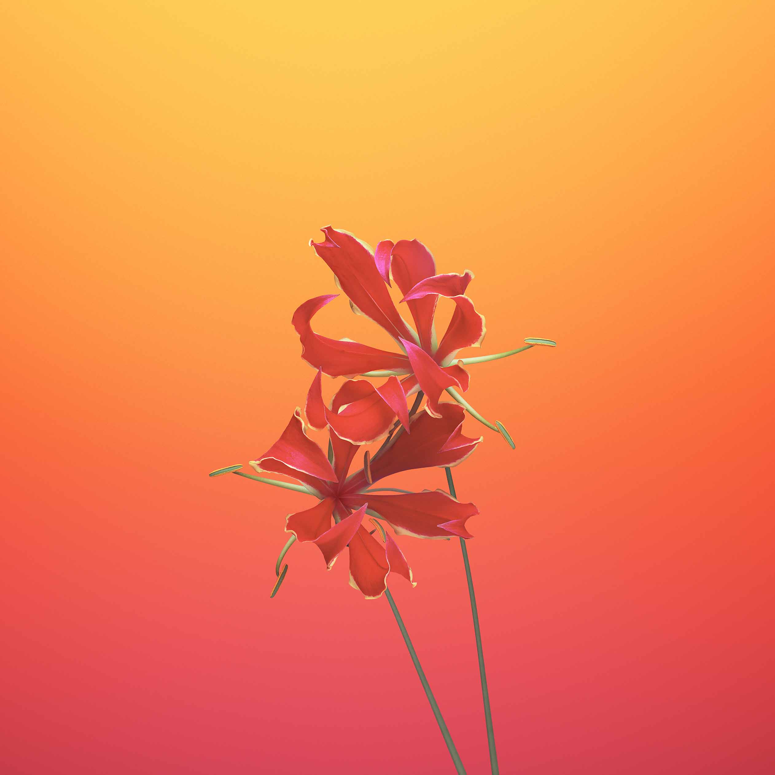 Download iPhone 8 Stock Wallpapers (44 Wallpapers) - DroidViews Download iPhone 8 Stock Wallpapers (44 Wallpapers) - DroidViews
