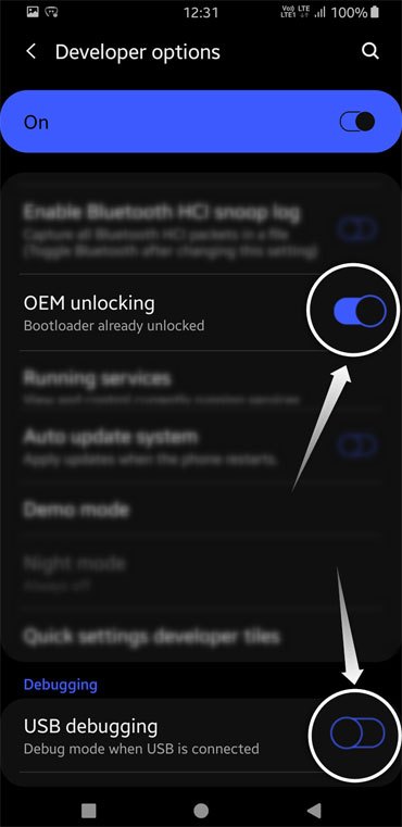 enable usb debugging and oem unlocking