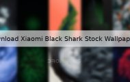 Download Xiaomi Black Shark Stock Wallpapers