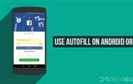 Autofill on Android Oreo