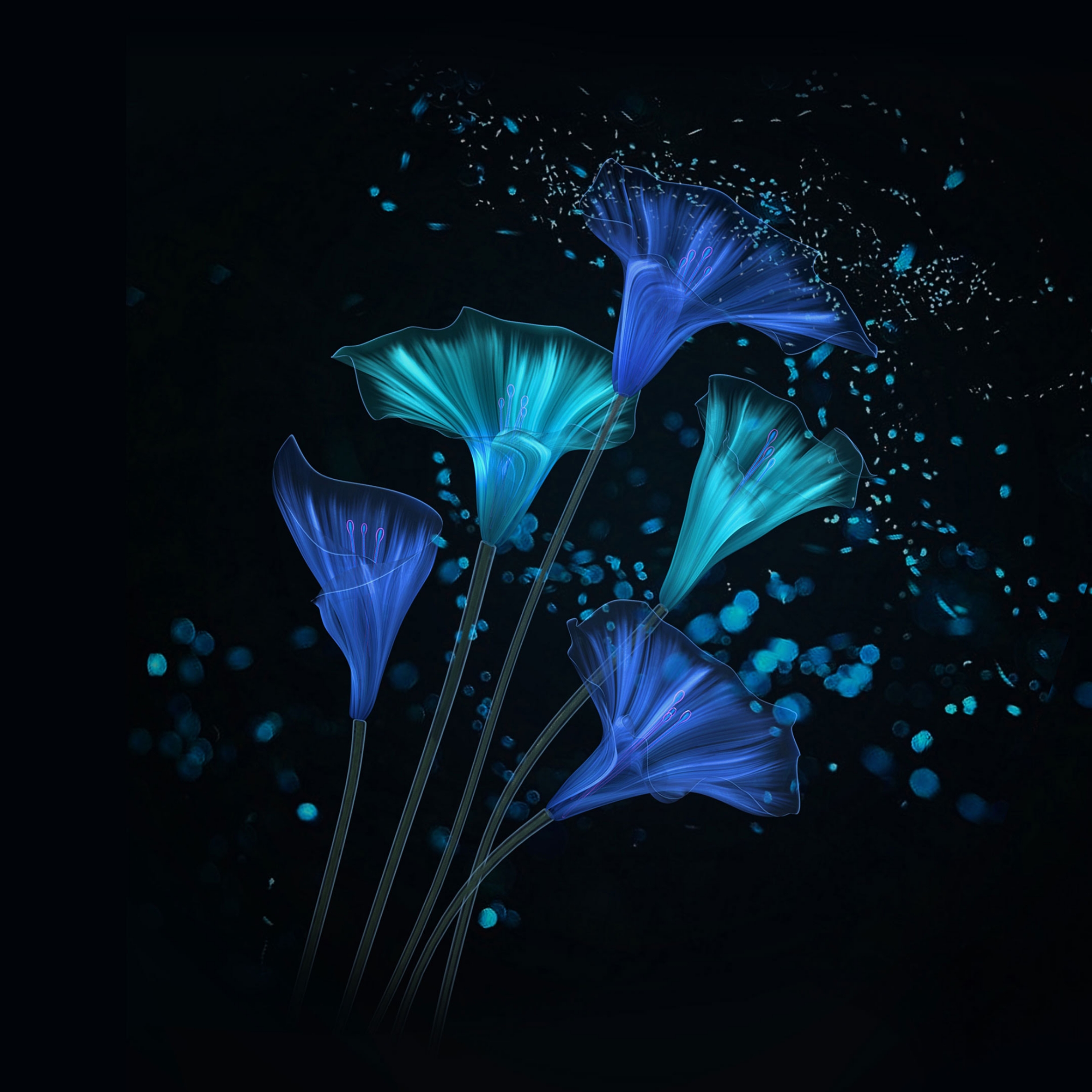 Honor Magic 2 Wallpapers, Themes and Live Wallpapers - Download