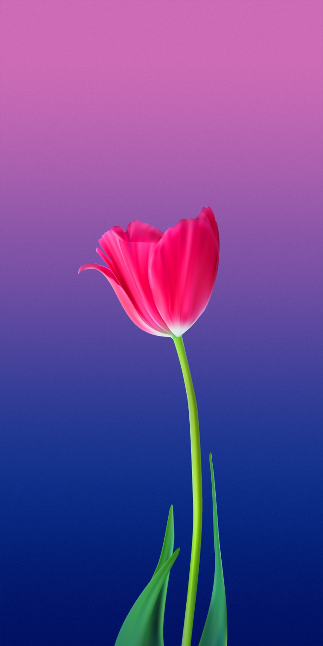 Download Tecno Camon CM Stock Wallpapers (FHD+) | DroidViews