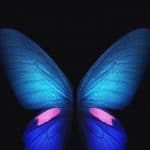 Galaxy Fold blue butterfly wallpaper