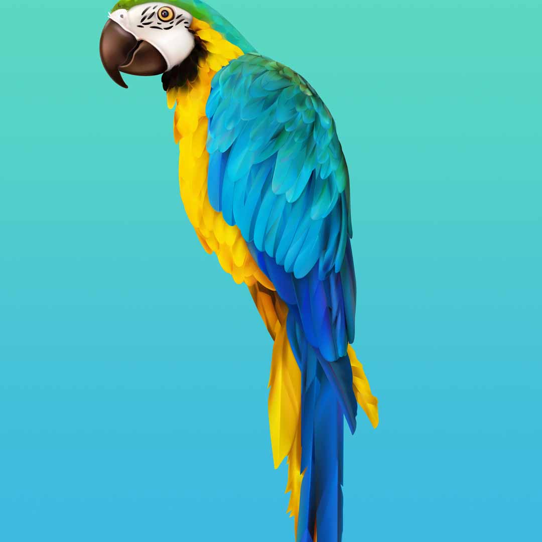 My Image 24