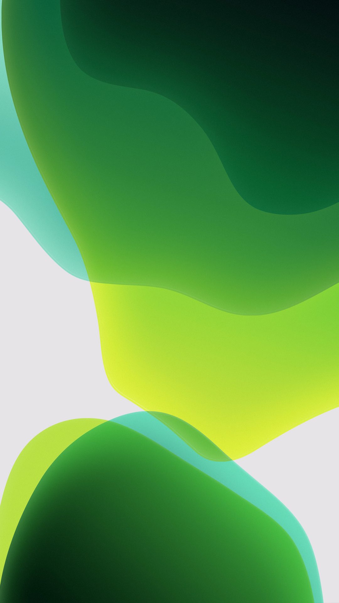 ios 13 green white wallpaper