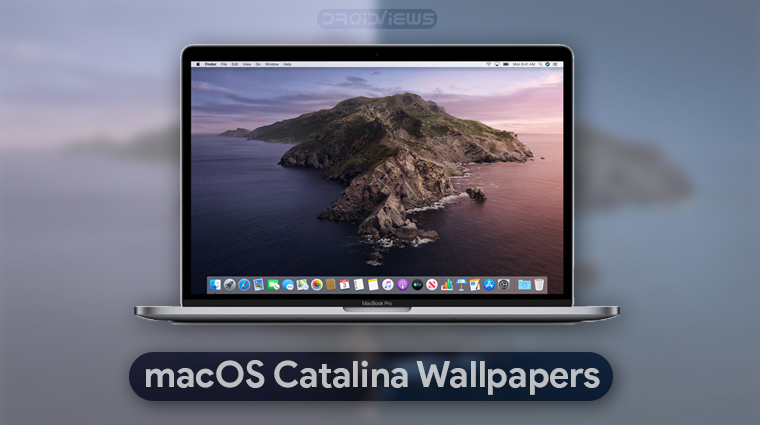 Macos Catalina Wallpapers 4k 6k Video Wallpaper Droidviews