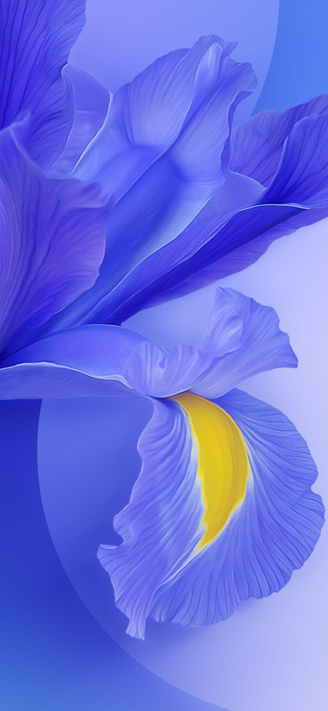 Redmi 7A Stock Wallpapers (Full HD+) - Download - DroidViews