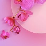 xiaomi pink flower wall
