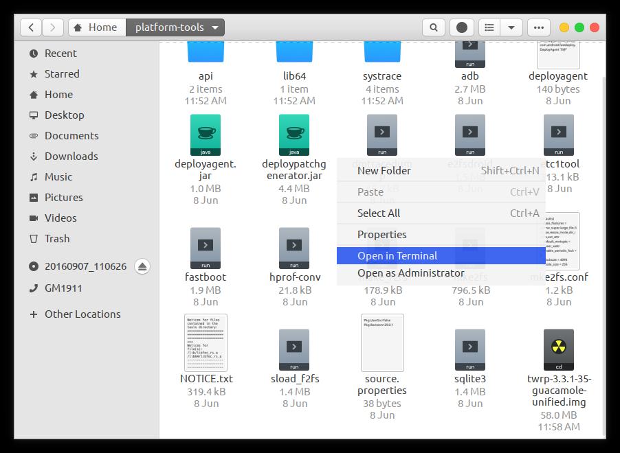 open terminal window