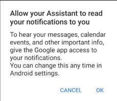 Google Assistant permission