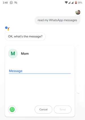 Google Assistant type message