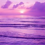 magicbook pro purple sea wallpaper