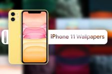 iPhone 11 Pro wallpapers