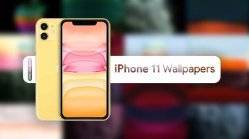 iPhone 11 Wallpapers (4K) | Live Wallpapers- Download - DroidViews