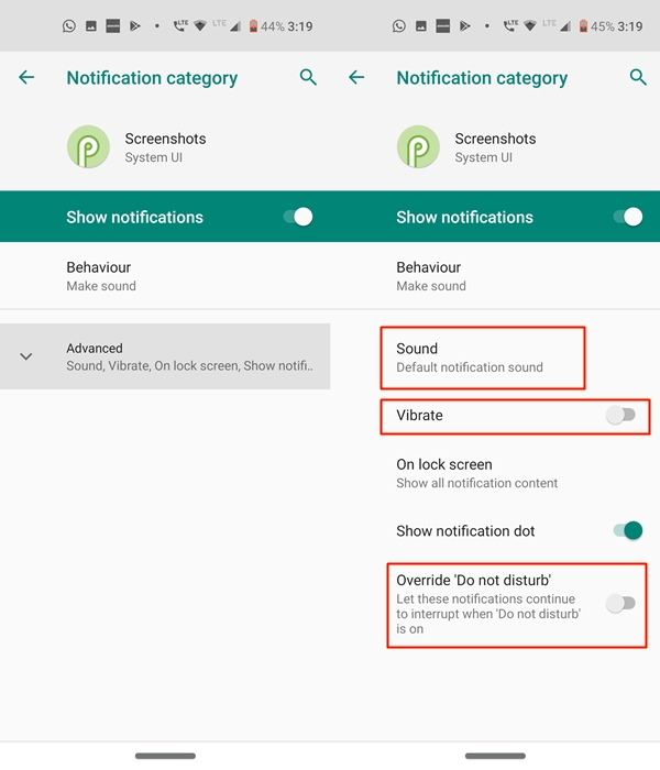 advanced screenshot settings