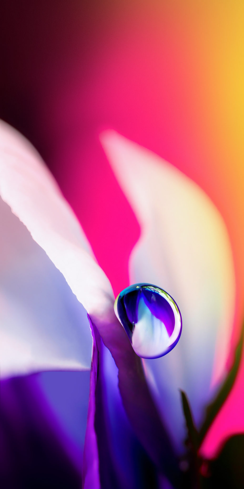 Download LG Stylo 5 Wallpapers (Full HD+) - DroidViews