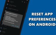 reset app preferences