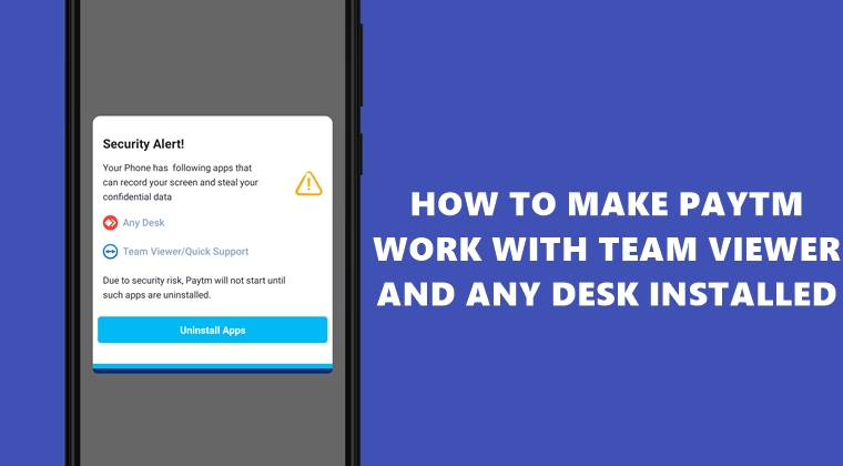 paytm team viewer