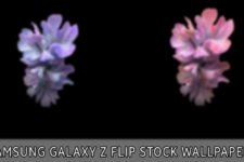 samsung galaxy z flip wallpapers featured image