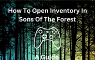 sons of the forest cant open inventory