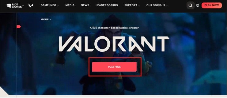 Valorant installer