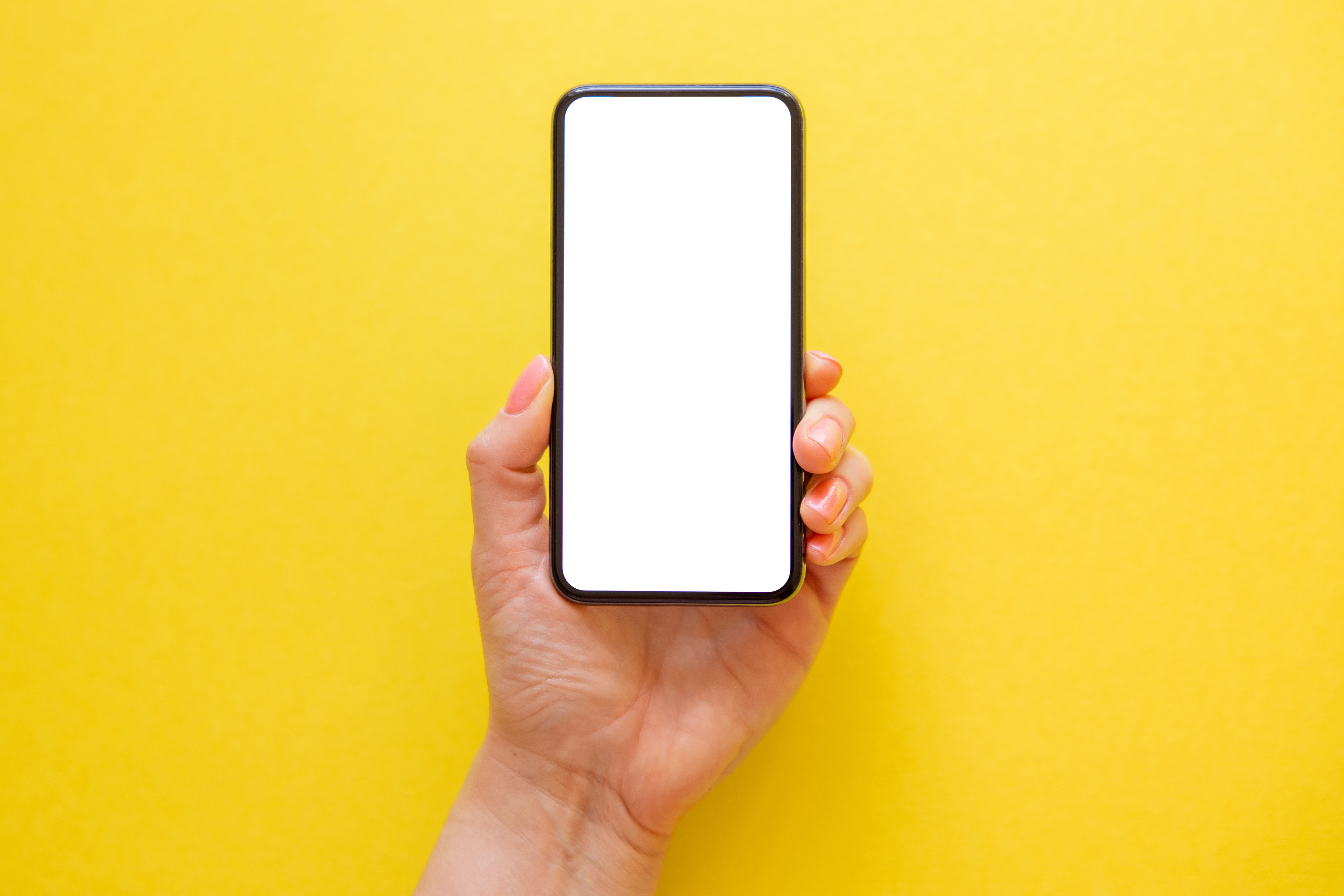 hand holding a phone with a blank, white screen on a yellow background.