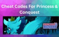 Cheat Codes For Princess and Conquest